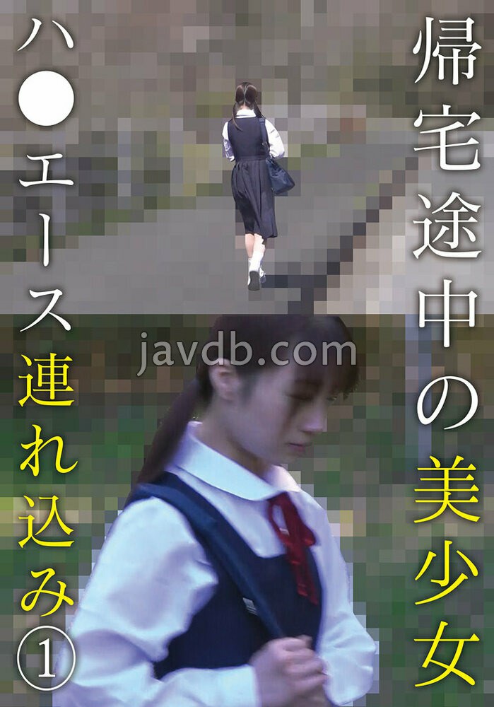 帰宅途中の美少女ハ●エース連れ込み (1)