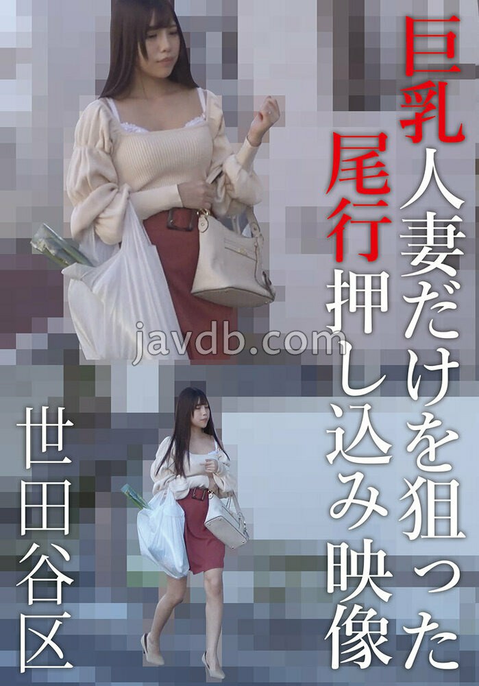 巨乳人妻だけを狙った尾行押し込み映像 世田谷区