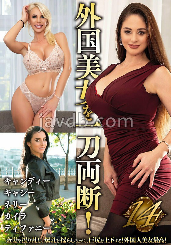 HUST-8901 外国美女を一刀両断！14