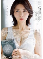 DLDSS-528 샘플 1