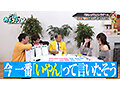 カチコチTV＃232 9