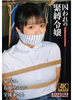 囚われの緊縛令嬢 DIDコレクション3 1