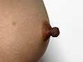 いびつな乳首 9