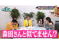 カチコチTV＃233 11