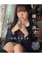 一边被侵犯一边高潮-佐佐木纱希