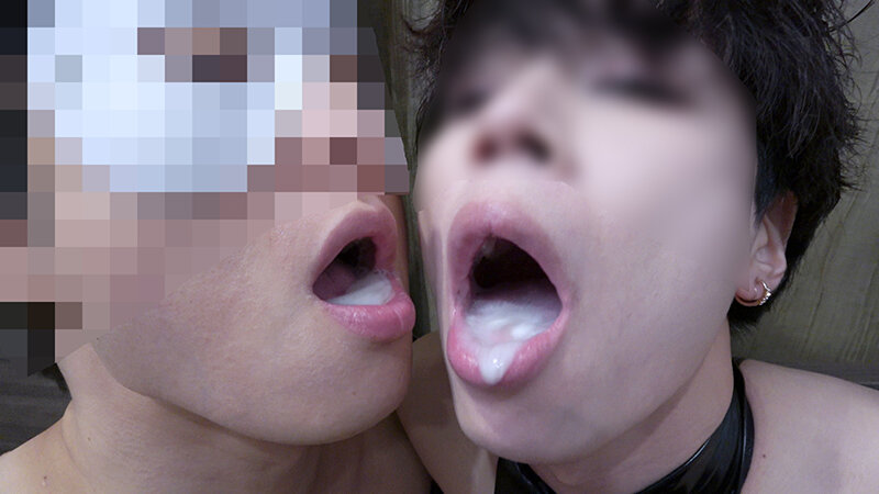 SDGY-004 샘플 11