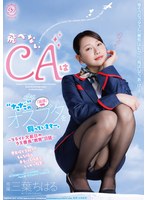 DLDSS-543 샘플 1