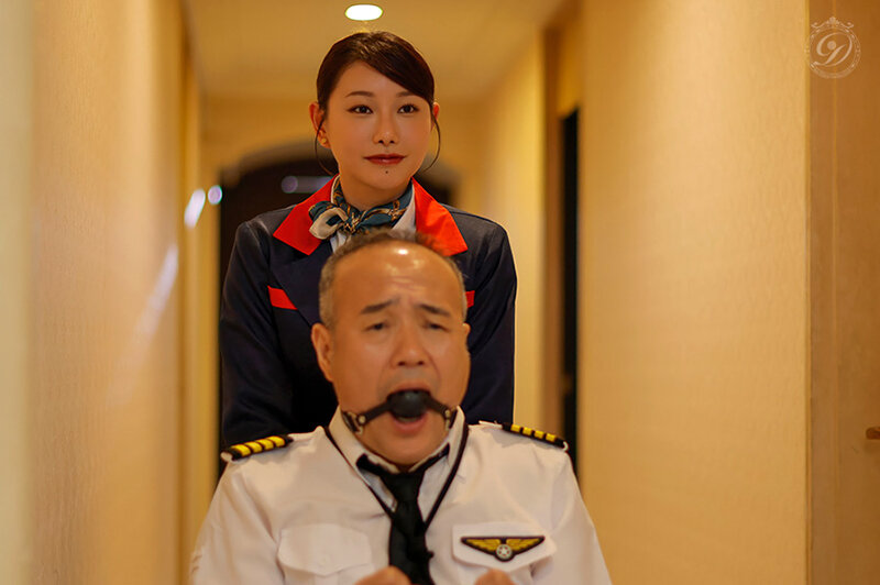 DLDSS-543 샘플 9